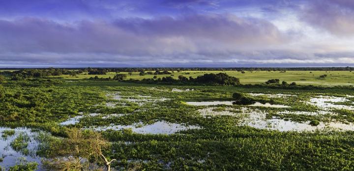 Voyage sur-mesure, Pantanal Nord